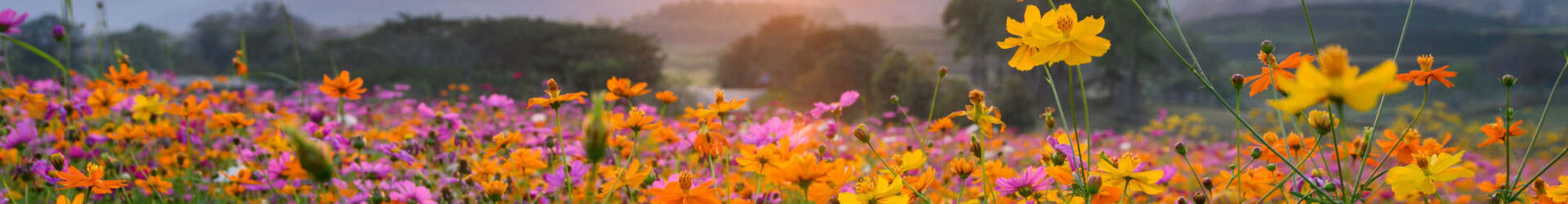 Madawaska River Update